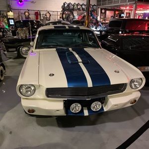 Meet your Posher, Troy